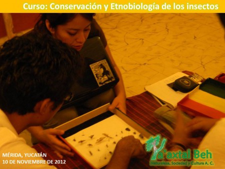 CONOCIMIENTO Y CONSERVACIÓN DE LOS RECURSOS NATURALES